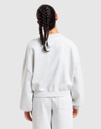 Linear Crop Sweatshirt
