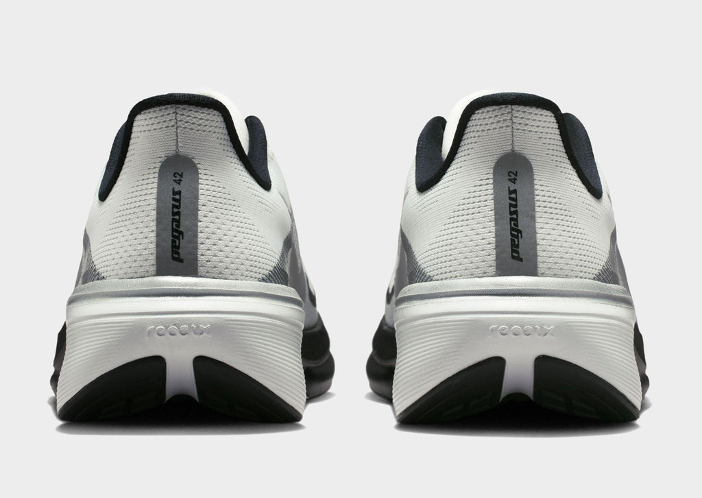 Pegasus 42