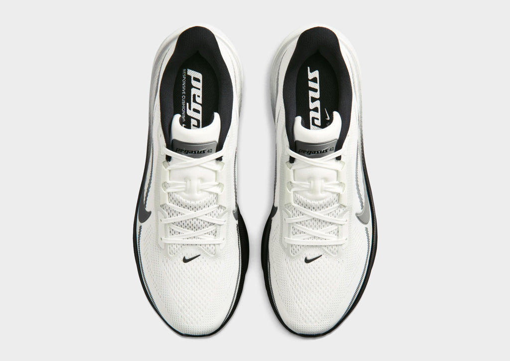 Pegasus 42