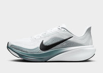 Pegasus 42