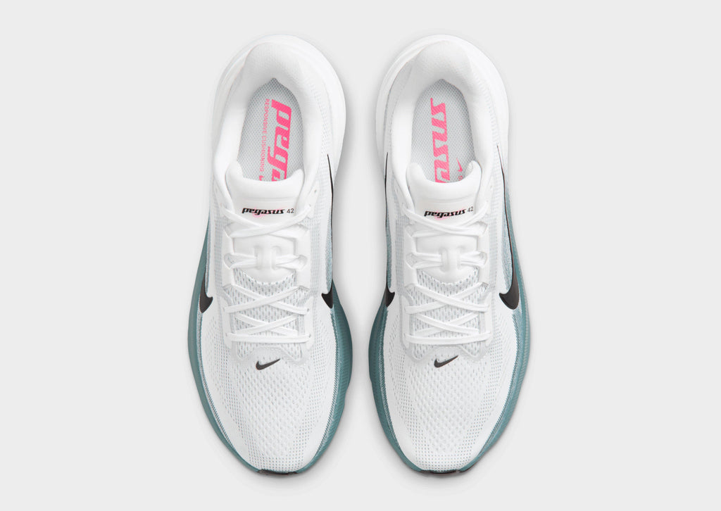 Pegasus 42
