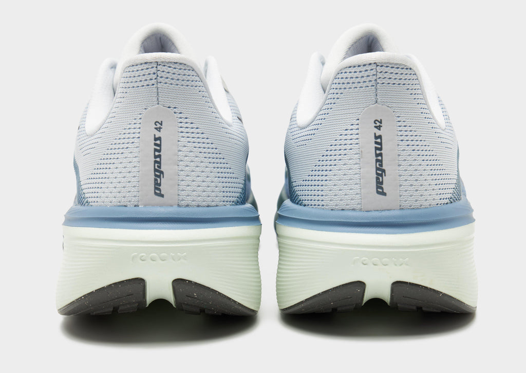 Pegasus 42
