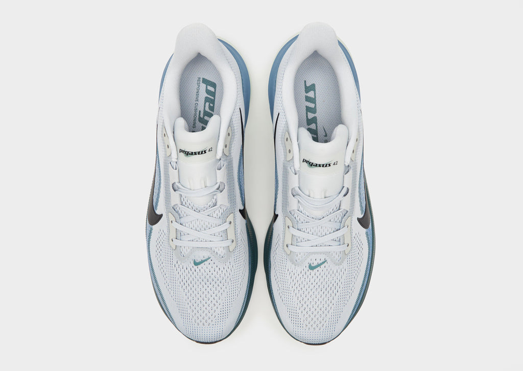 Pegasus 42