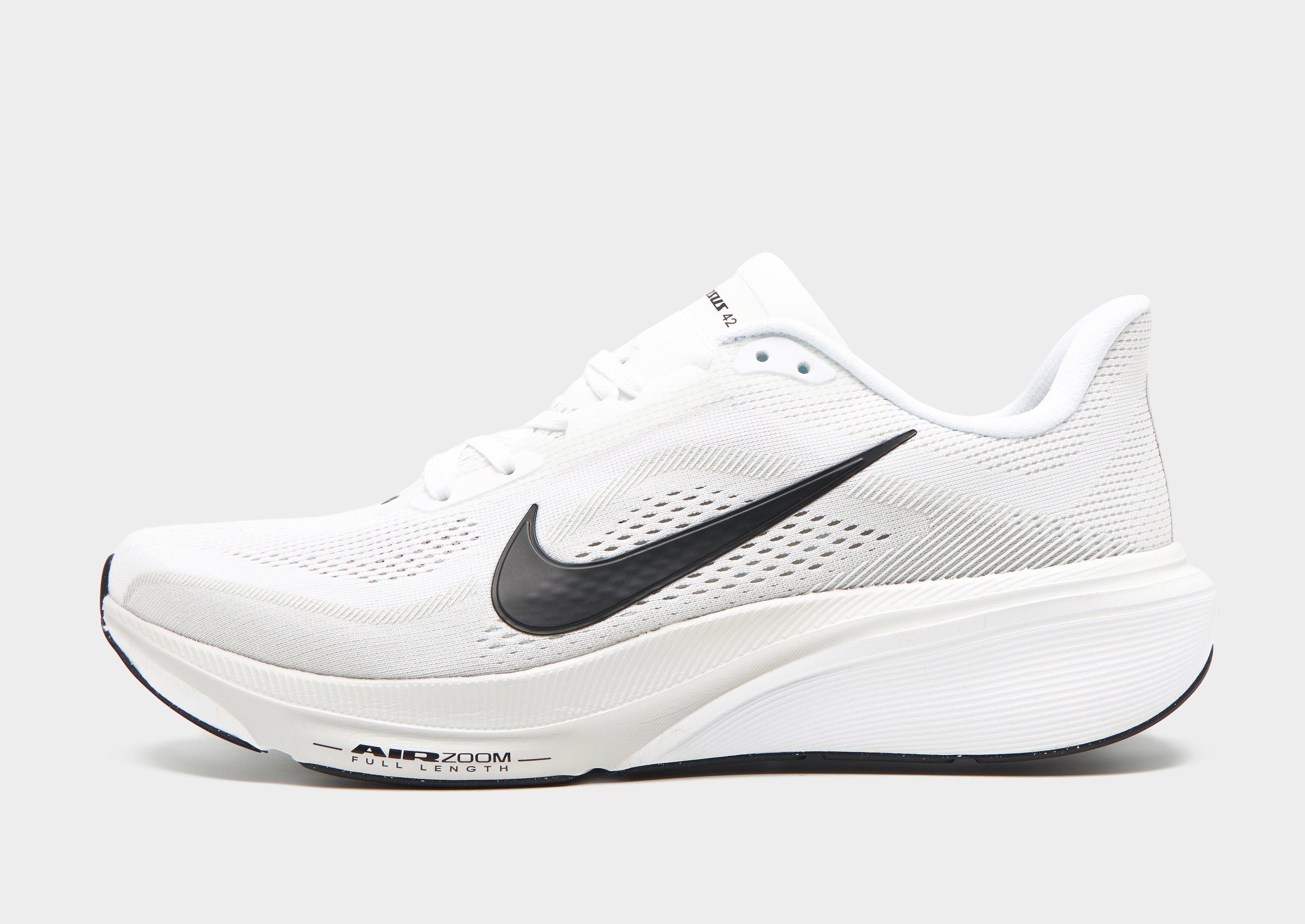 Pegasus 42