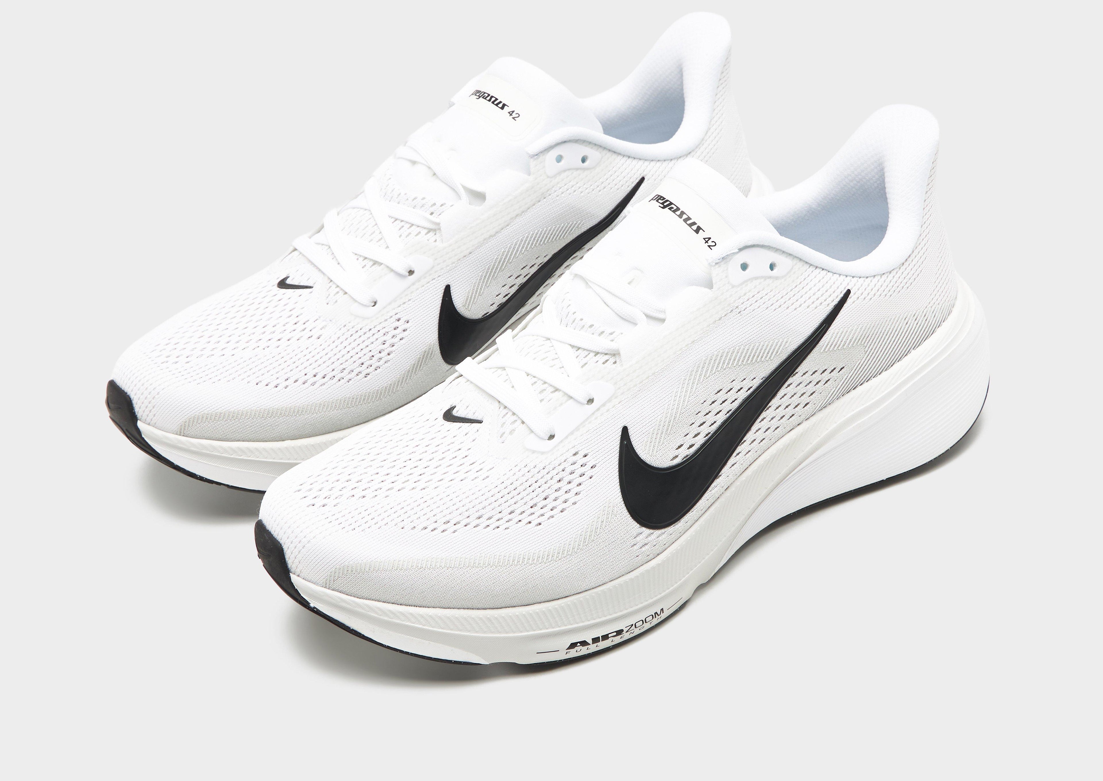 Pegasus 42