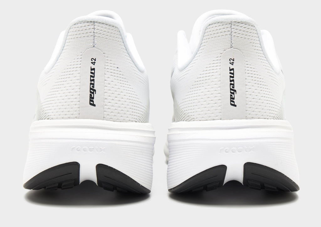 Pegasus 42