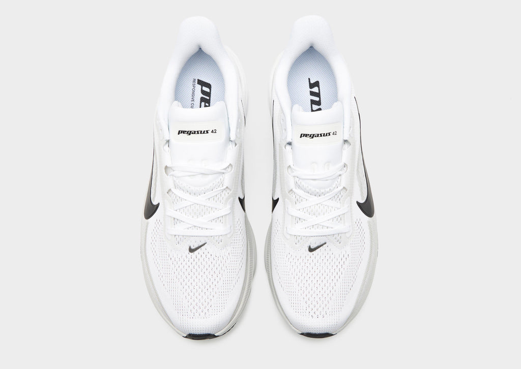 Pegasus 42