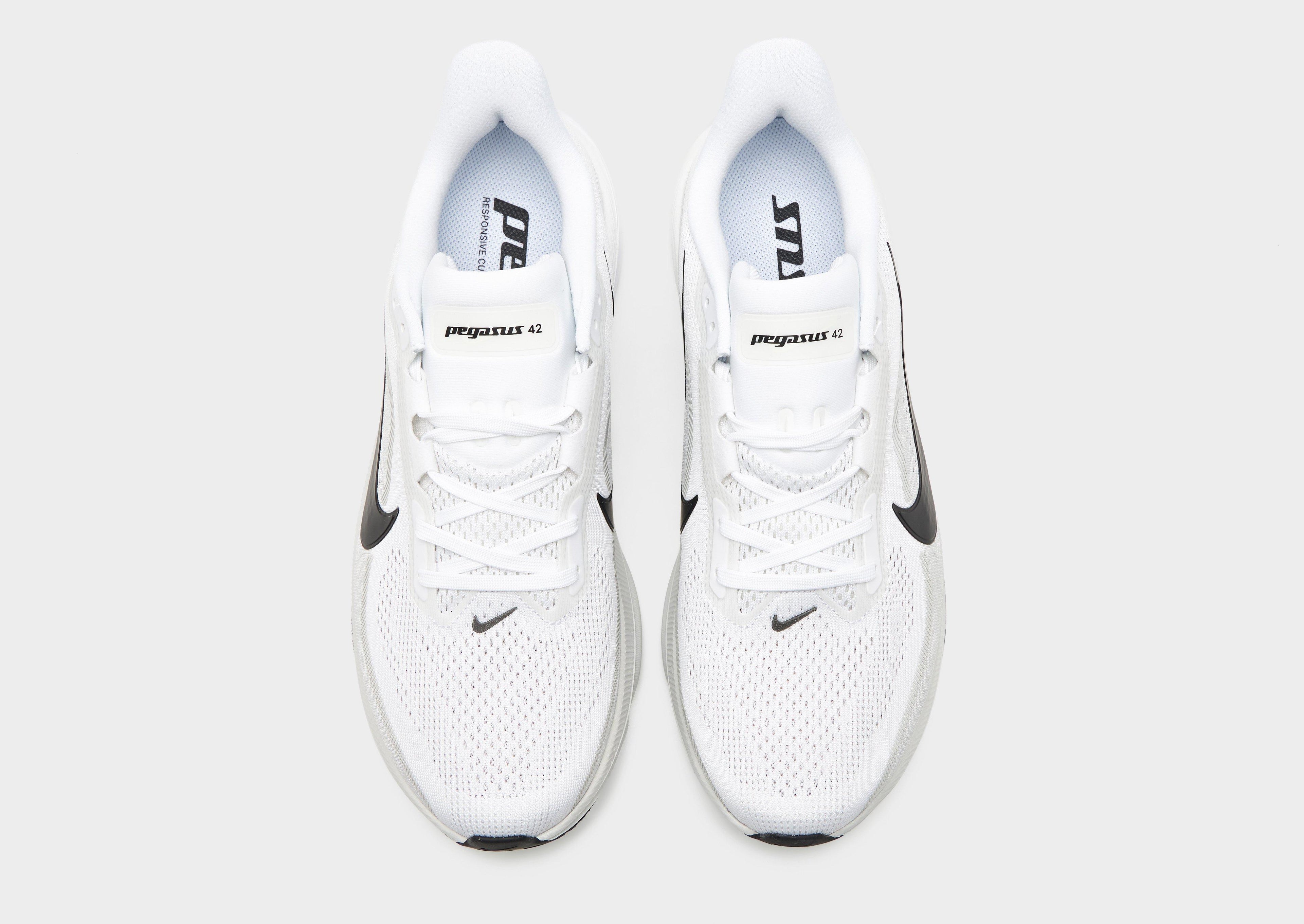 Pegasus 42