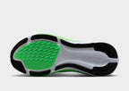 Pegasus 42 Women's