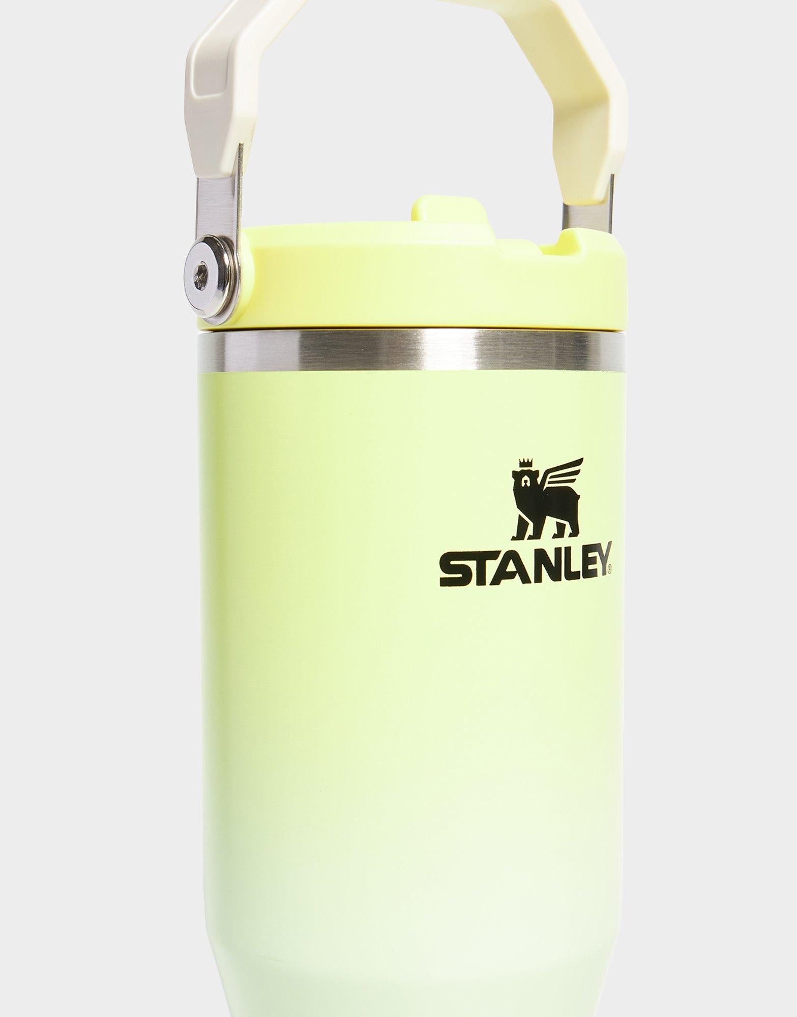 The IceFlow Flip Straw Tumbler 880mL