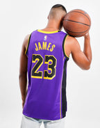 NBA LA Lakers James #23 Swingman Jersey