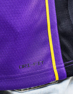NBA LA Lakers James #23 Swingman Jersey