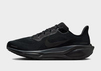 Pegasus 41