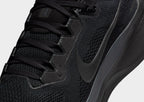 Pegasus 41