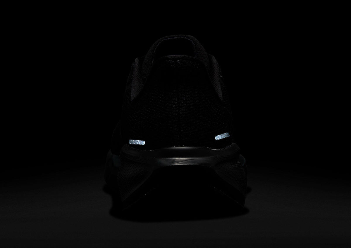 Pegasus 41