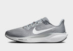 Pegasus 41