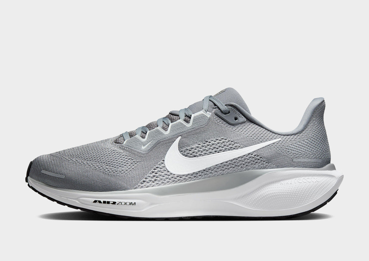 Pegasus 41
