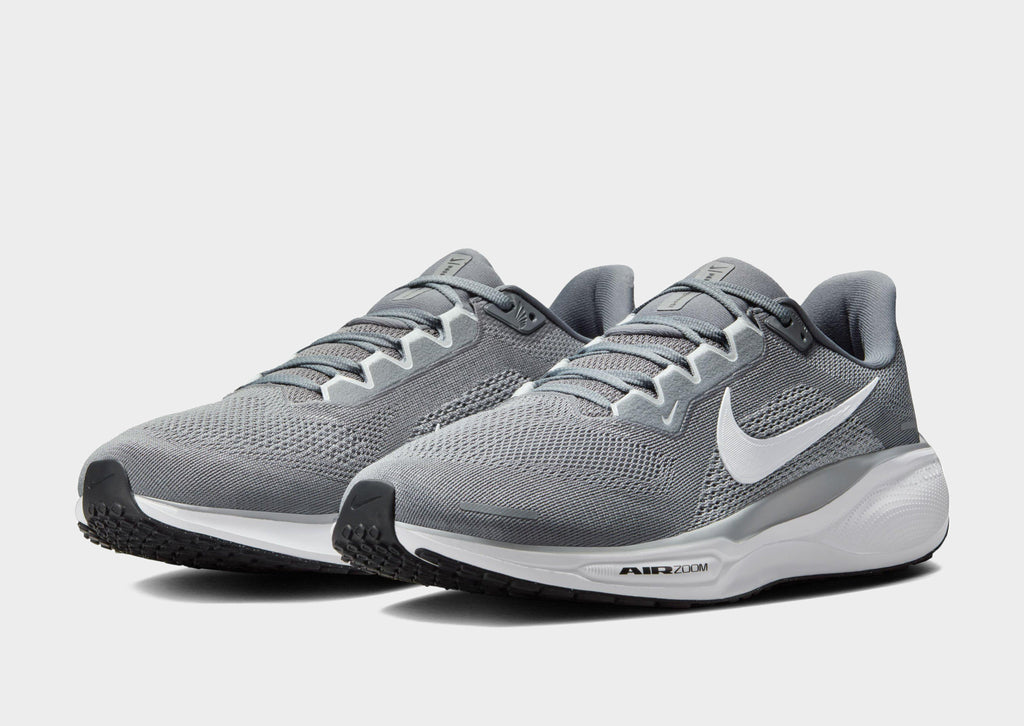 Pegasus 41