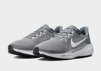 Pegasus 41