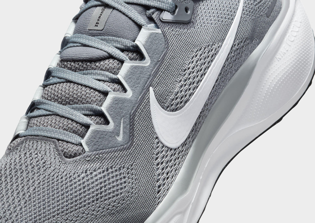 Pegasus 41