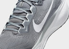 Pegasus 41