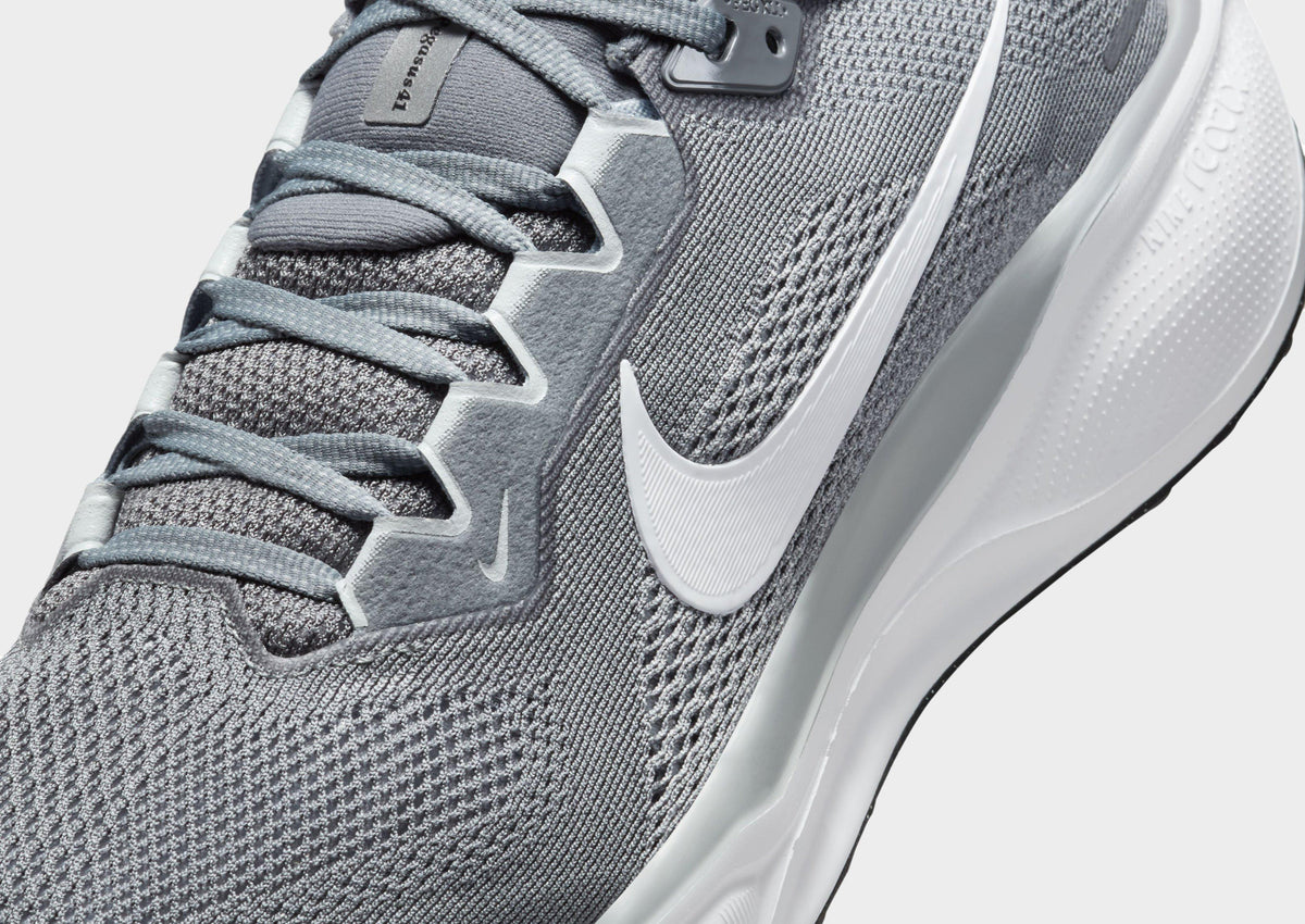 Pegasus 41