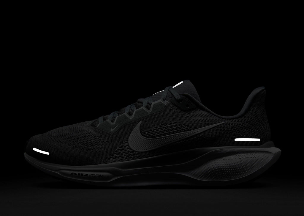Pegasus 41