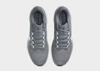 Pegasus 41