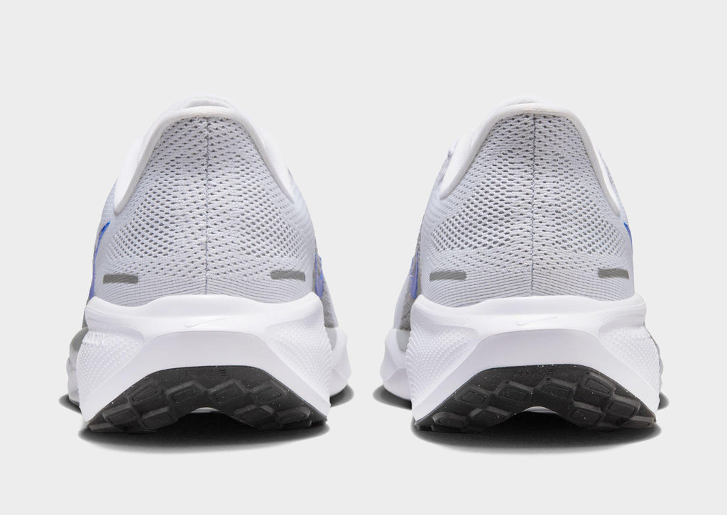 Pegasus 41