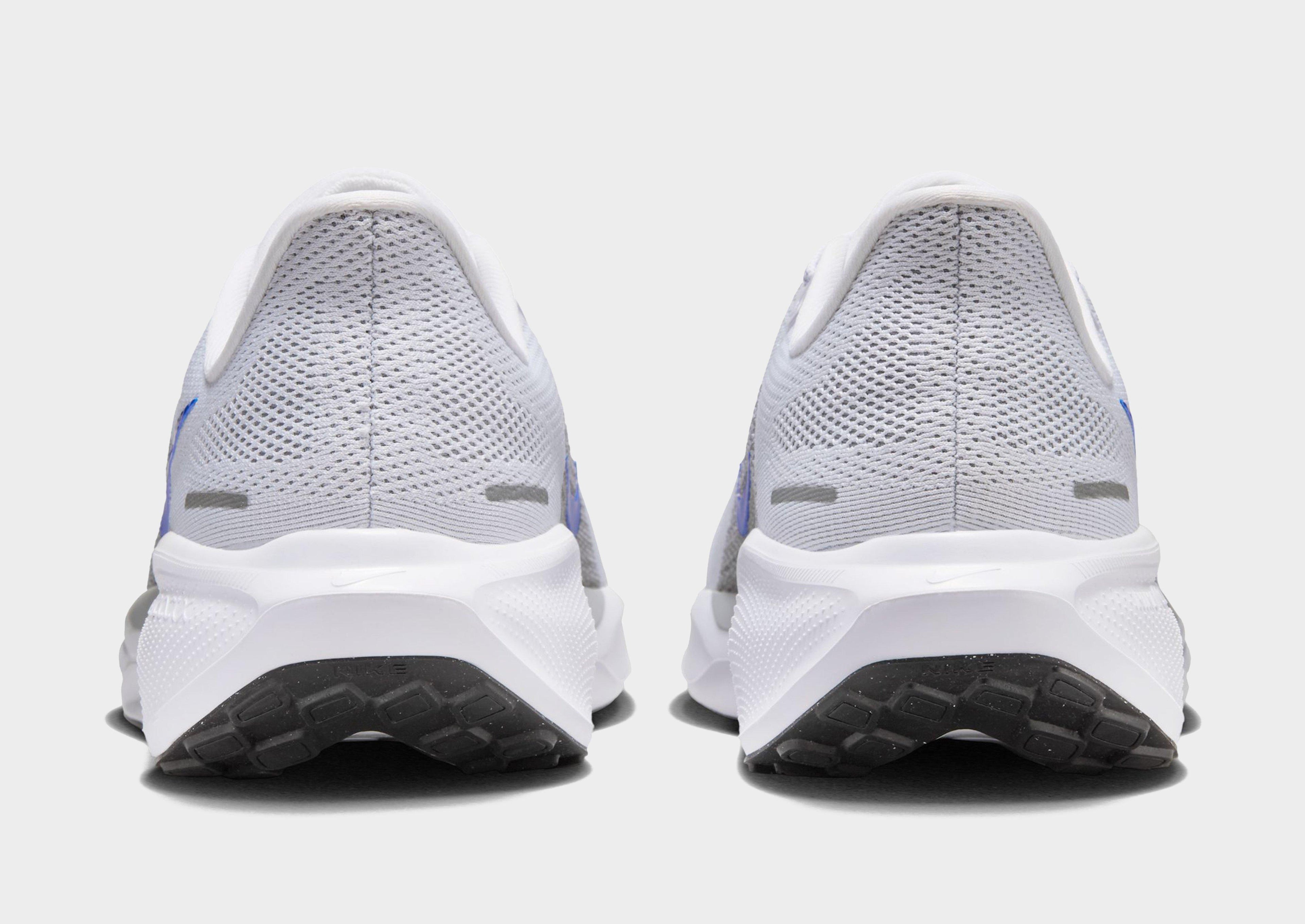 Pegasus 41