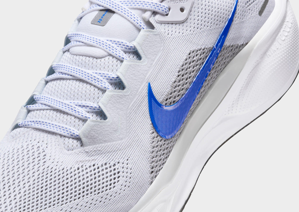 Pegasus 41