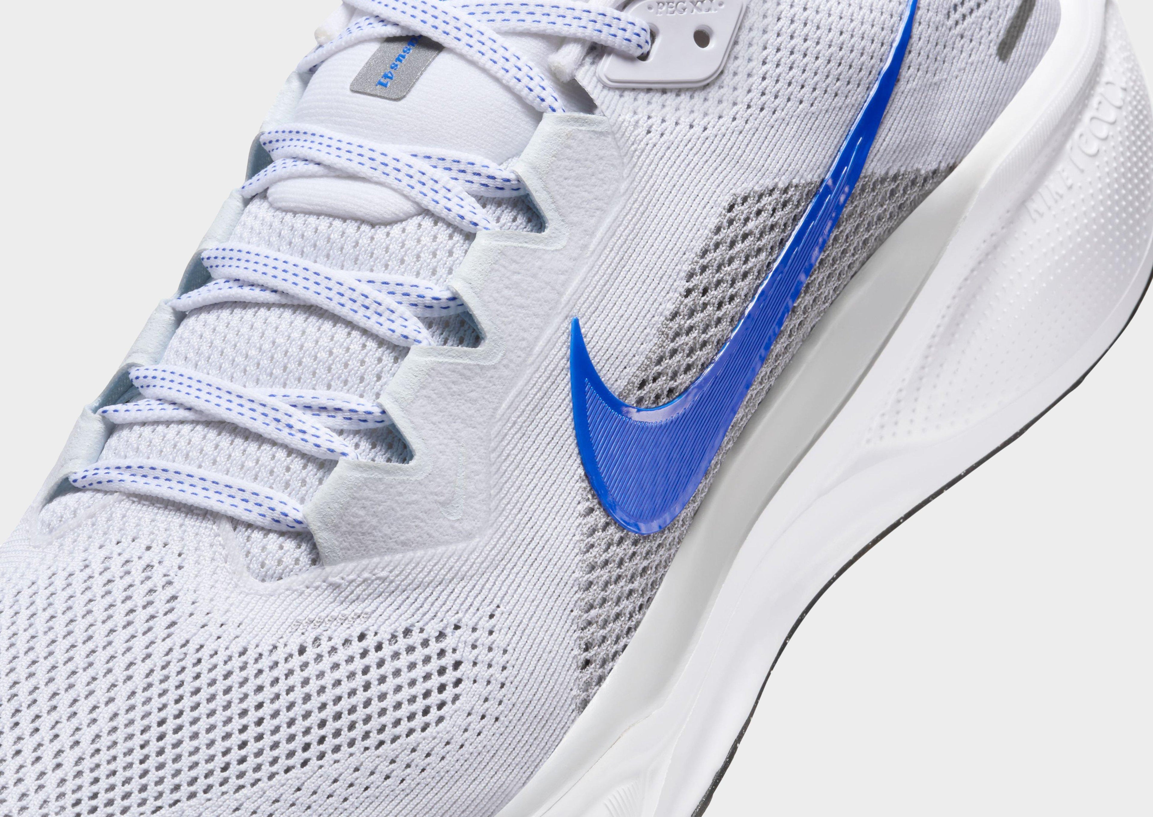Pegasus 41