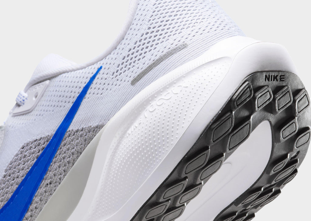 Pegasus 41