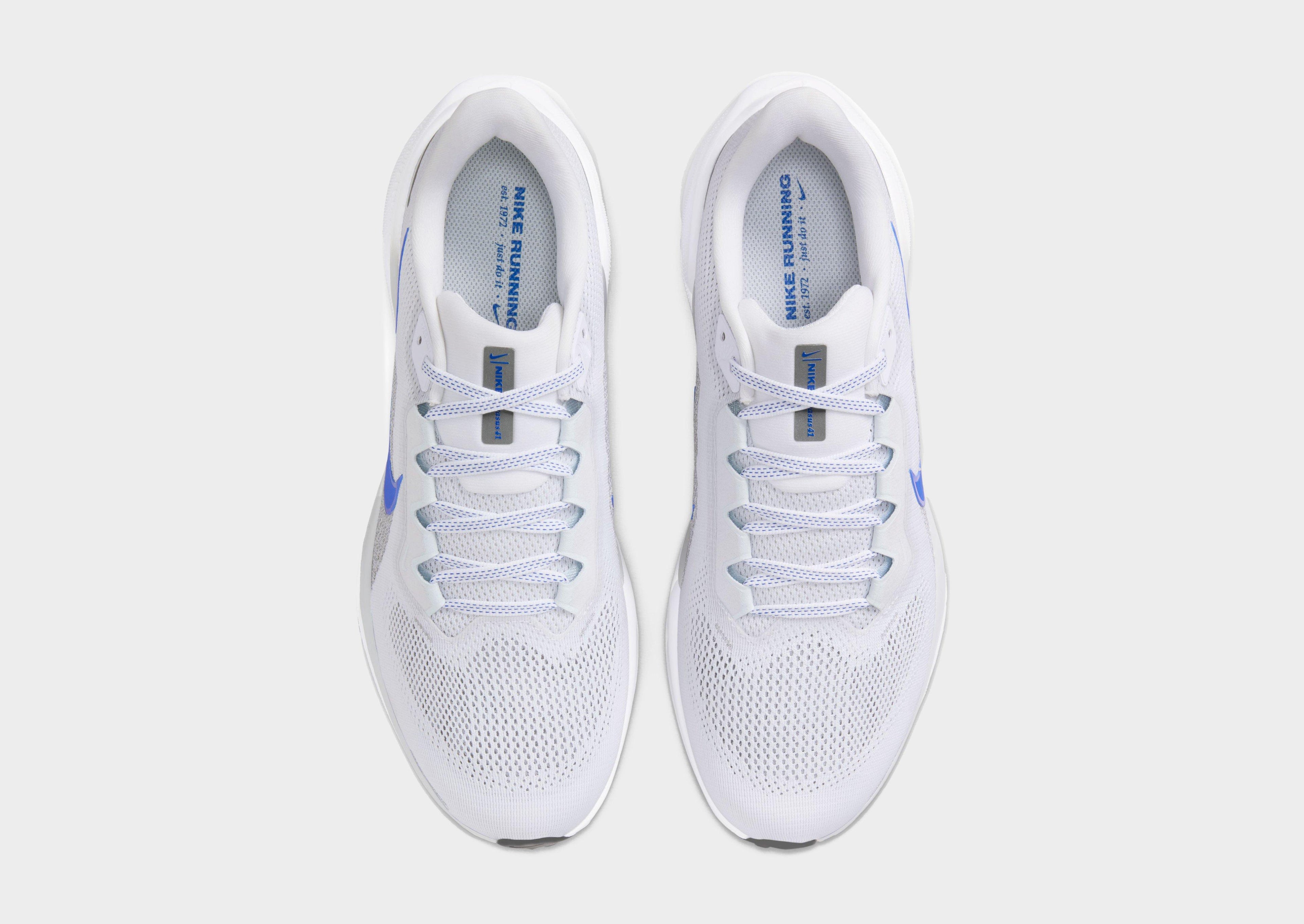 Pegasus 41