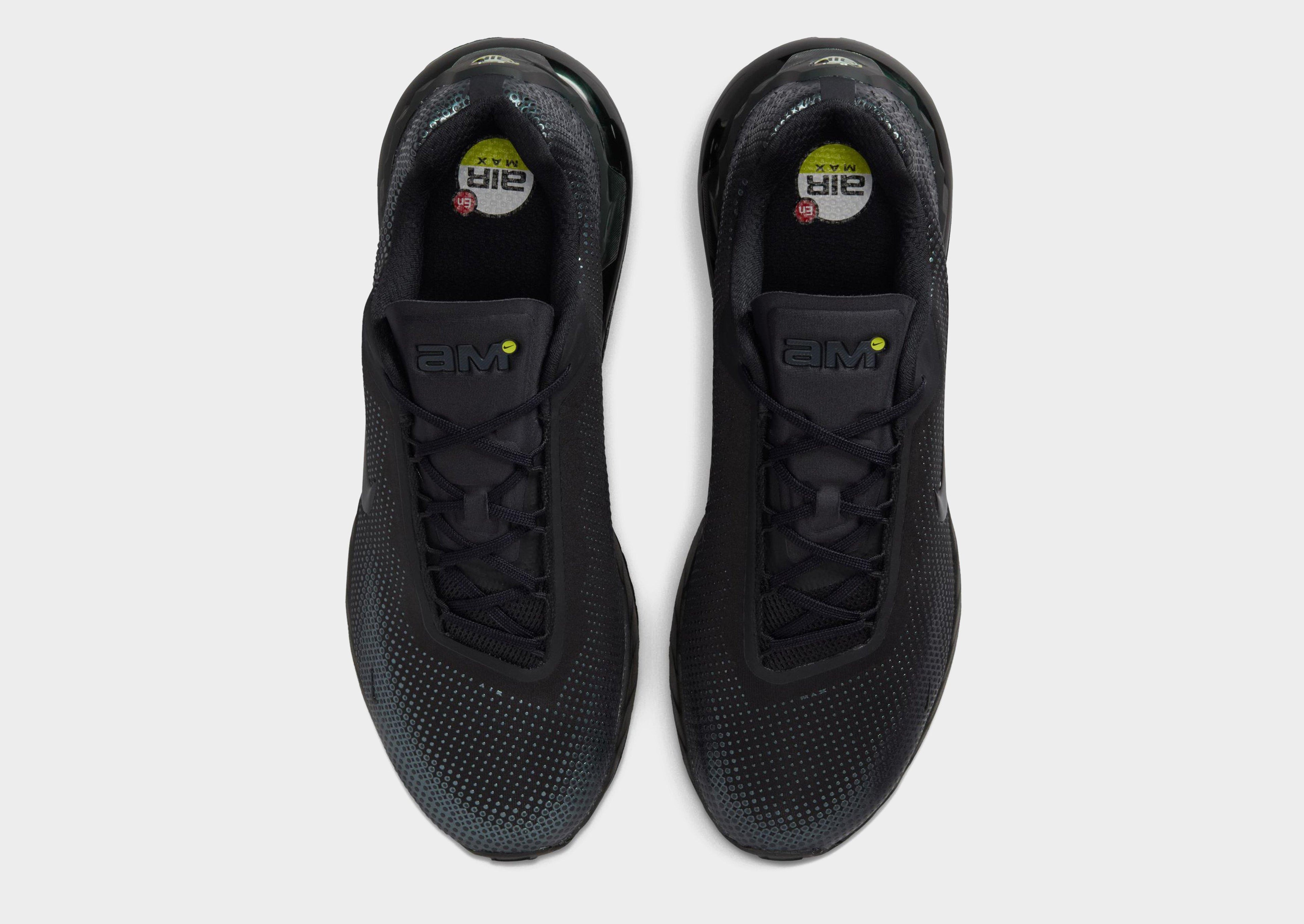 Air Max Phoenix