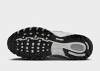 Air Pegasus 2K5 Women's