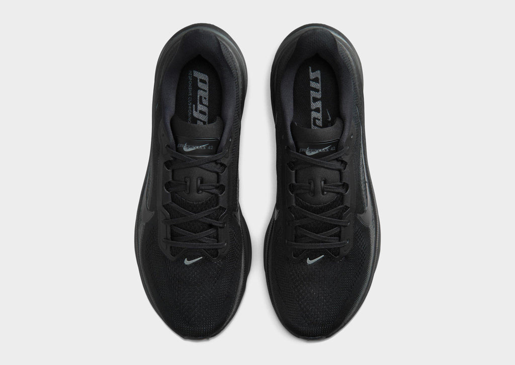 Pegasus 42