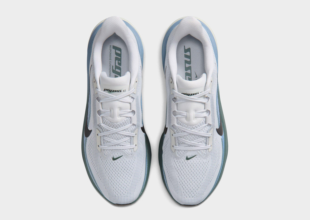 Pegasus 42