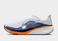 Pegasus 42