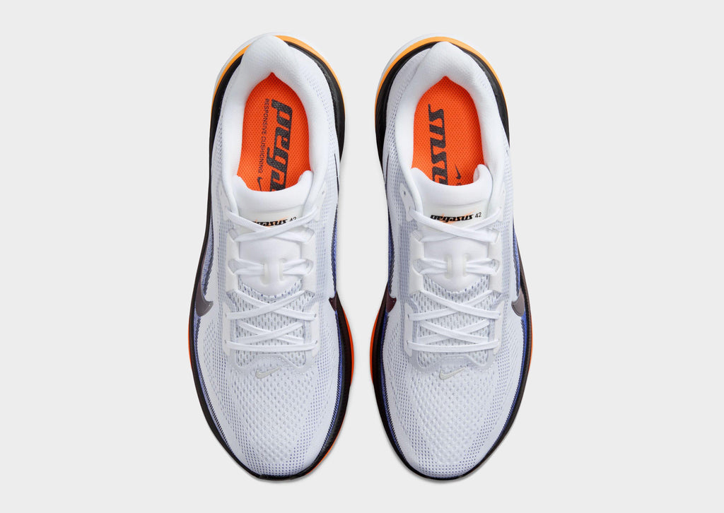 Pegasus 42