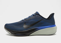 Pegasus 42