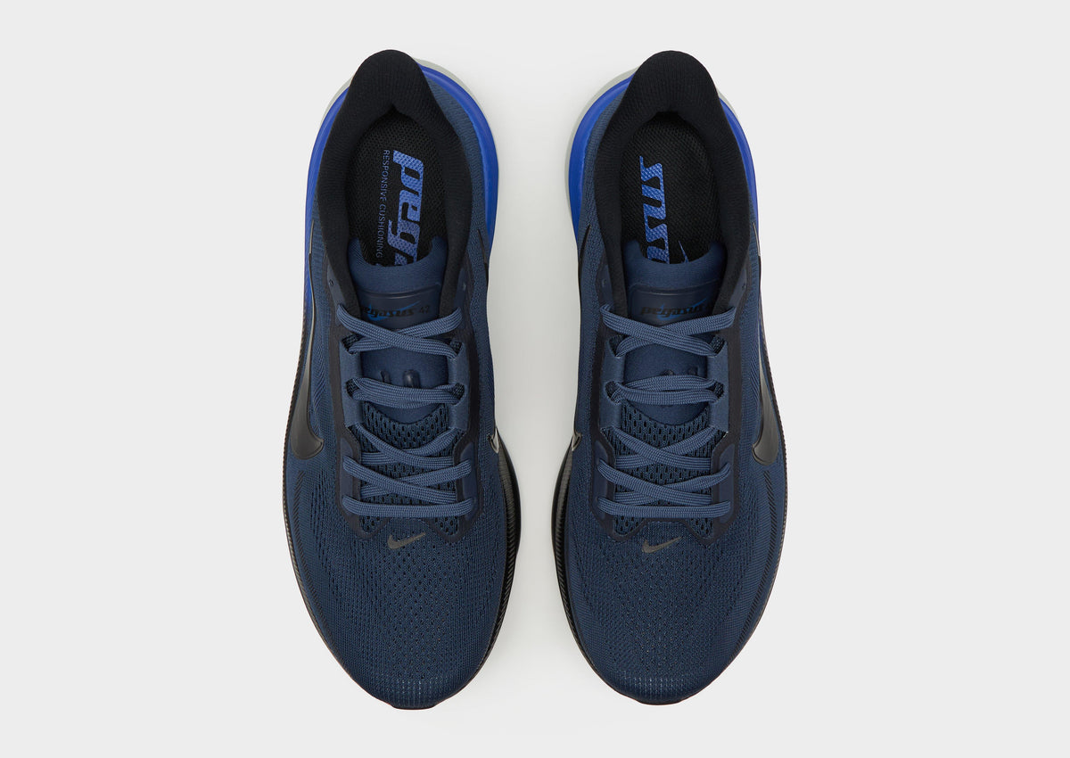 Pegasus 42