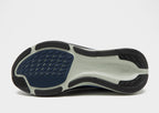 Pegasus 42