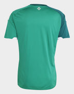 Northern Ireland 2026 Home Shirt