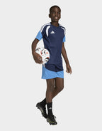 Northern Ireland Tiro 26 Training Shirt Junior
