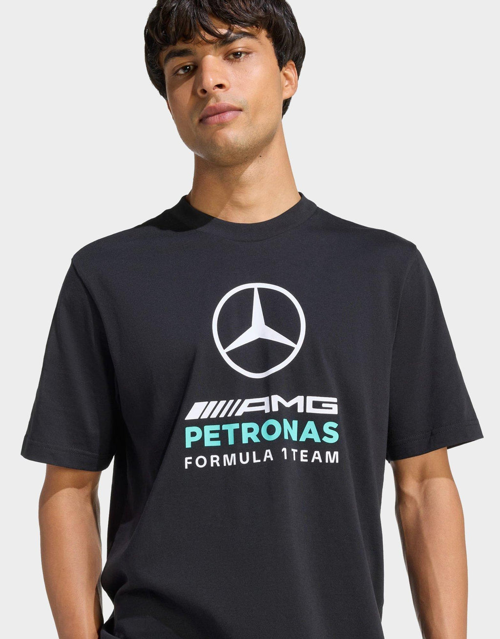 Mercedes - Amg Petronas Formula 1 Team DNA T-shirt