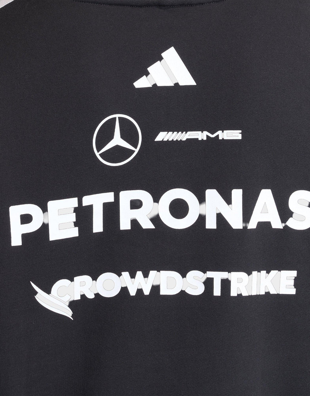 Mercedes - Amg Petronas Formula 1 Team Driver Hoodie