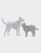 Pet Cali Tee